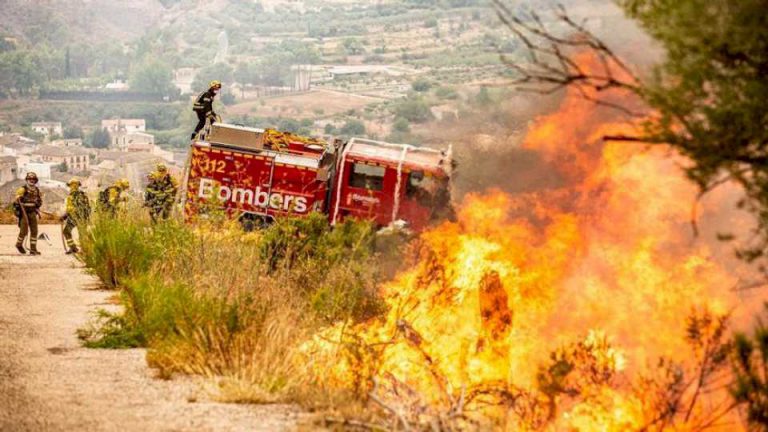 asi-son-un-ano-despues-las-huellas-del-incendio-de-la-vall-d’ebo,-la-peor-tragedia-forestal-de-la-historia