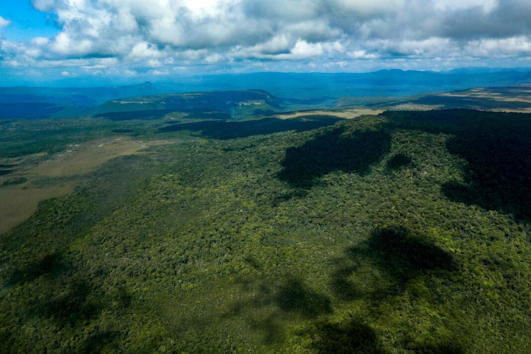 guyana,-el-pais-que-lucha-para-que-una-repentina-riqueza-no-se-convierta-en-una-maldicion