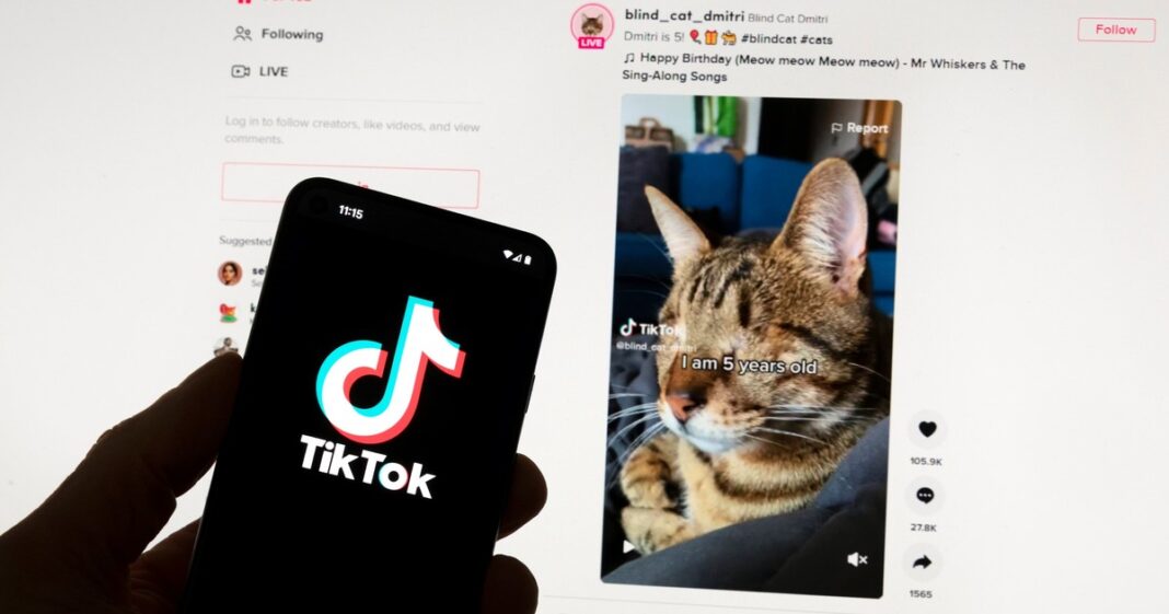 tiktok-lanza-una-nueva-version-que-les-pagara-a-los-usuarios-por-ver-videos