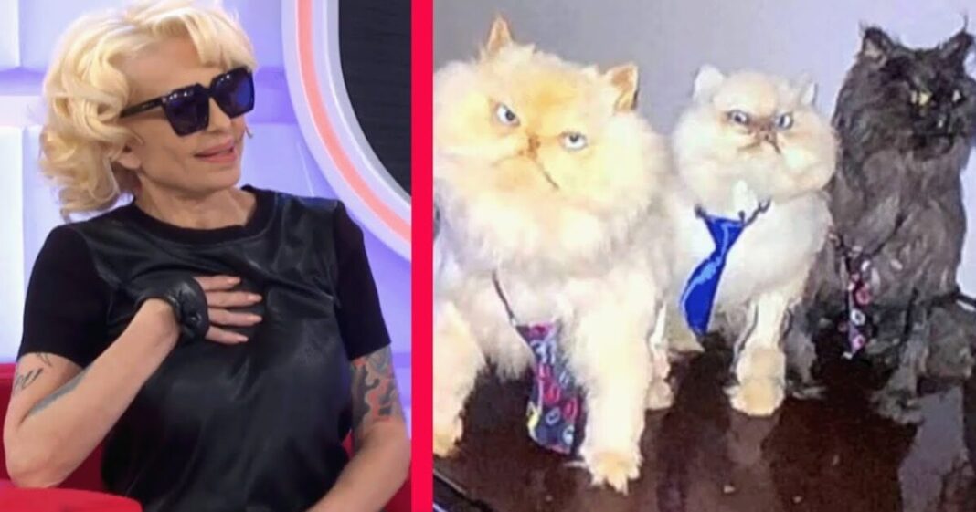 «mi-cama-y…»:-en-que-lugar-de-su-casa-tiene-daniela-cardone-a-sus-gatos-embalsamados