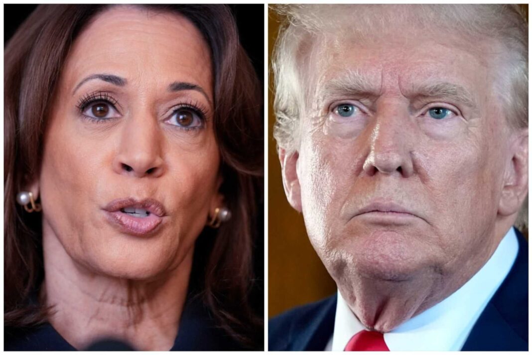 ¿quien-gana-en-eeuu.?-asi-estan-las-encuestas-presidenciales-entre-trump-y-kamala-hoy,-domingo-20-de-octubre