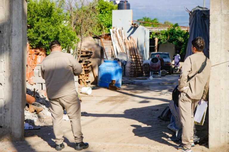 Realizarán controles focales para evitar la proliferación del Aedes Aegypti: en qué zonas
