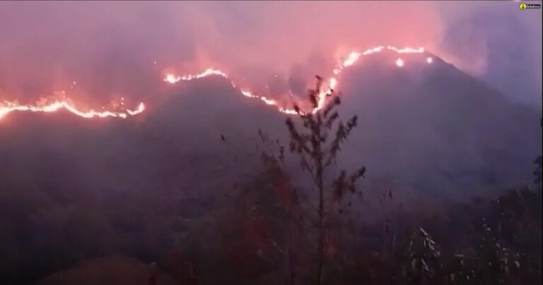 Incendio forestal en Pomahuaca deja grandes pérdidas en agricultura y ganadería en Cajamarca