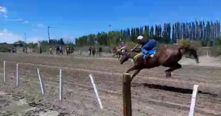 Tragedia en un club hípico: el caballo se desplomó a metros de la llegada, aplastó al jockey y lo mató
