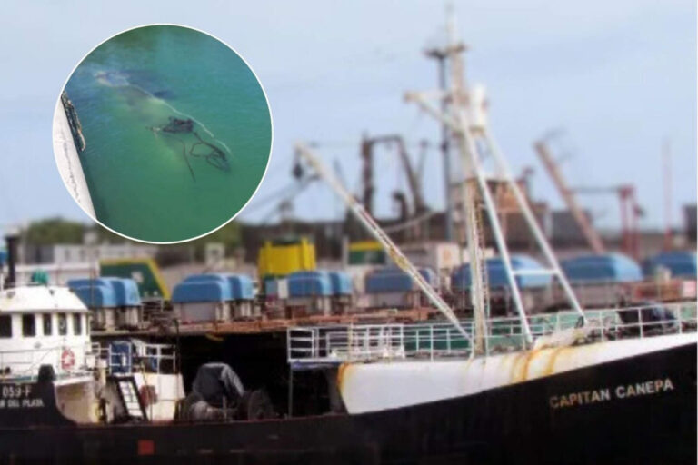 El misterioso hundimiento de un ex buque en la Base Naval de Mar del Plata
