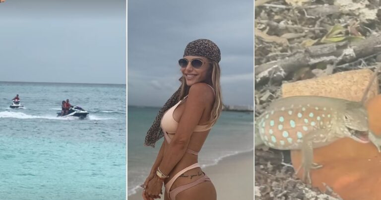 Las vacaciones en familia de Evangelina Anderson en Aruba: jet-ski, juegos en el agua y animales exóticos