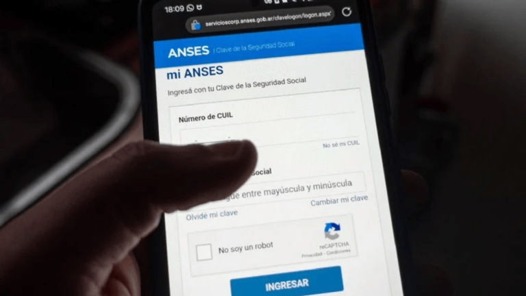 ANSES: el monto destinado a la Prestación de Desempleo en febrero 2025