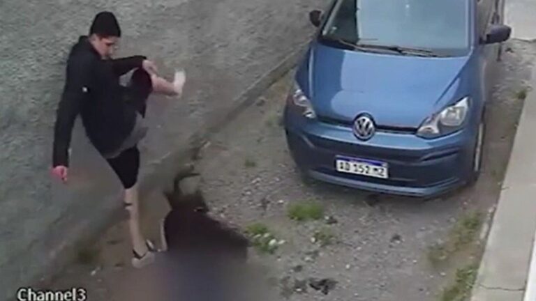 Intento de femicidio en Río Gallegos: golpeó a su ex y un vecino le salvó la vida