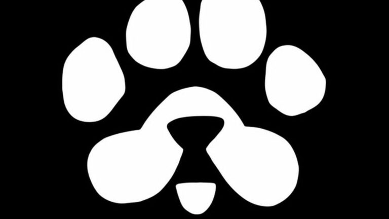 Blum pone en circulación $PAWS y activa un fondo de 250 millones de dólares