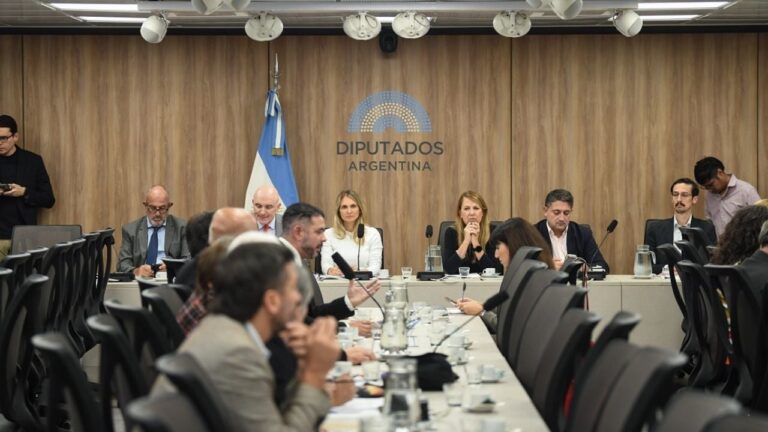 Diputados: obtuvo dictamen favorable el proyecto para bajar la edad de imputabilidad