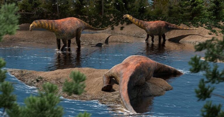 Descubrieron en Neuquén una nueva especie de dinosaurio que vivió hace 95 millones de años