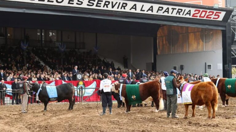Cómo quedan las retenciones tras los anuncios de Javier Milei en La Rural