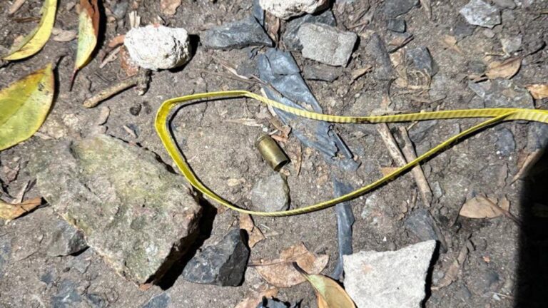 Un policía se resistió a un robo en Los Hornos y mató a un ladrón de 16 años