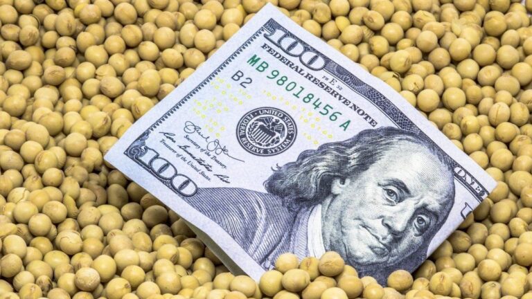 Retenciones cero a la soja: una mayor oferta argentina hundió el precio en Chicago a mínimos de seis semanas