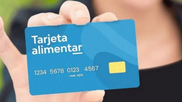 ANSES: qué sucederá con la Tarjeta Alimentar en diciembre 2025