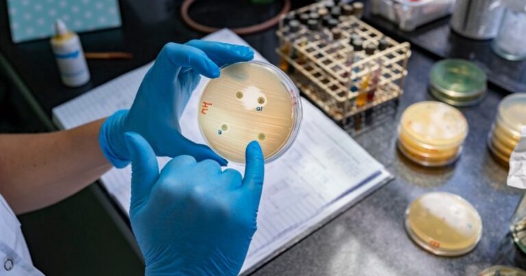 Detectaron la «supergripe» H3N2 en ocho provincias de Argentina y el 30% de los casos derivó en internación