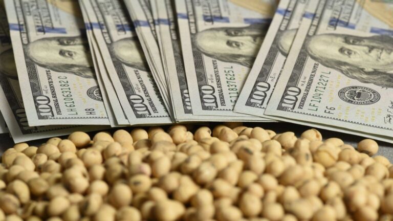 Los futuros de soja tocaron máximos de tres meses ante posibles compras adicionales de China