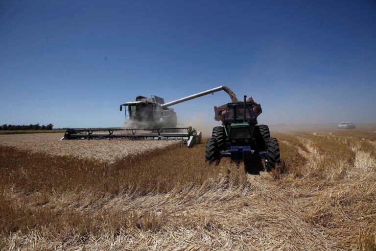 El agro, entre el optimismo oficial y la cautela del sector