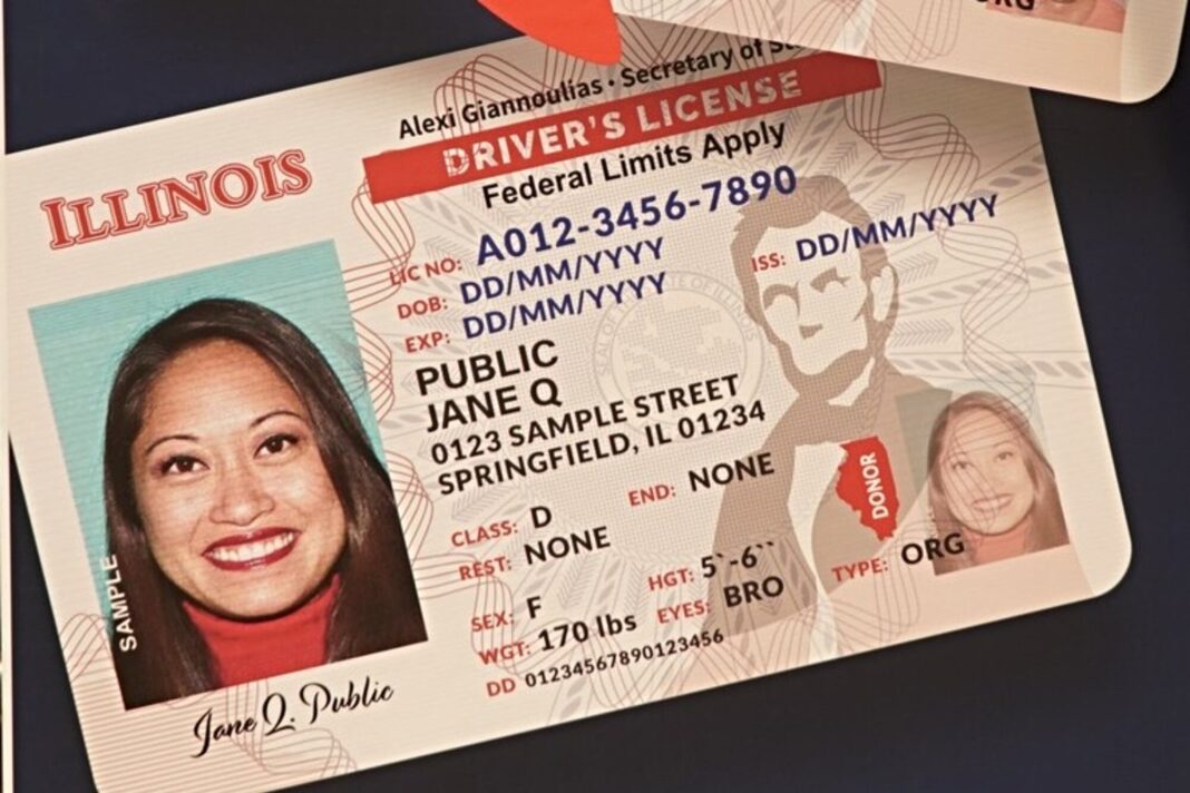 Persona sosteniendo una licencia de conducir de Illinois con la leyenda Federal Limits Apply