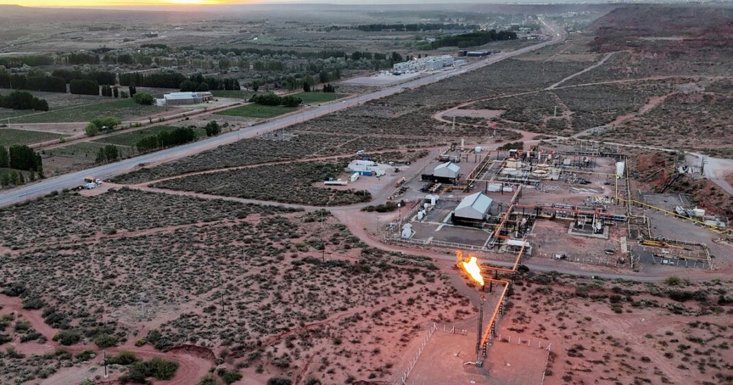 Mapa de la Argentina destacando las provincias con creación y pérdida de empleo registrado