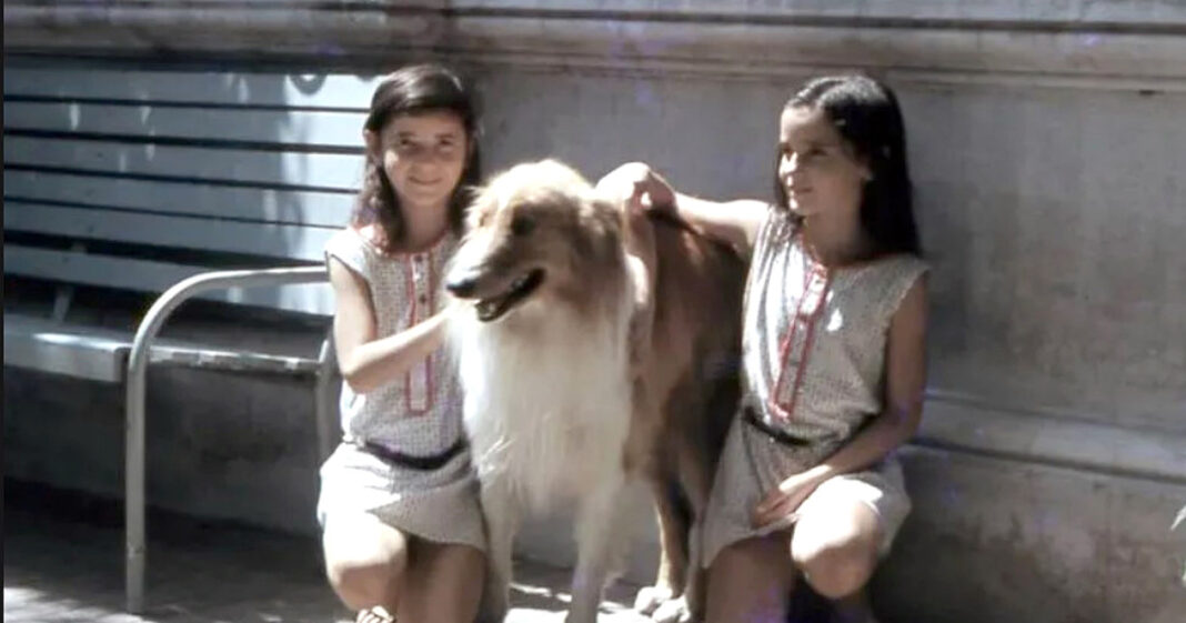 Restos óseos y una muela en el laboratorio del EAAF para identificación genética