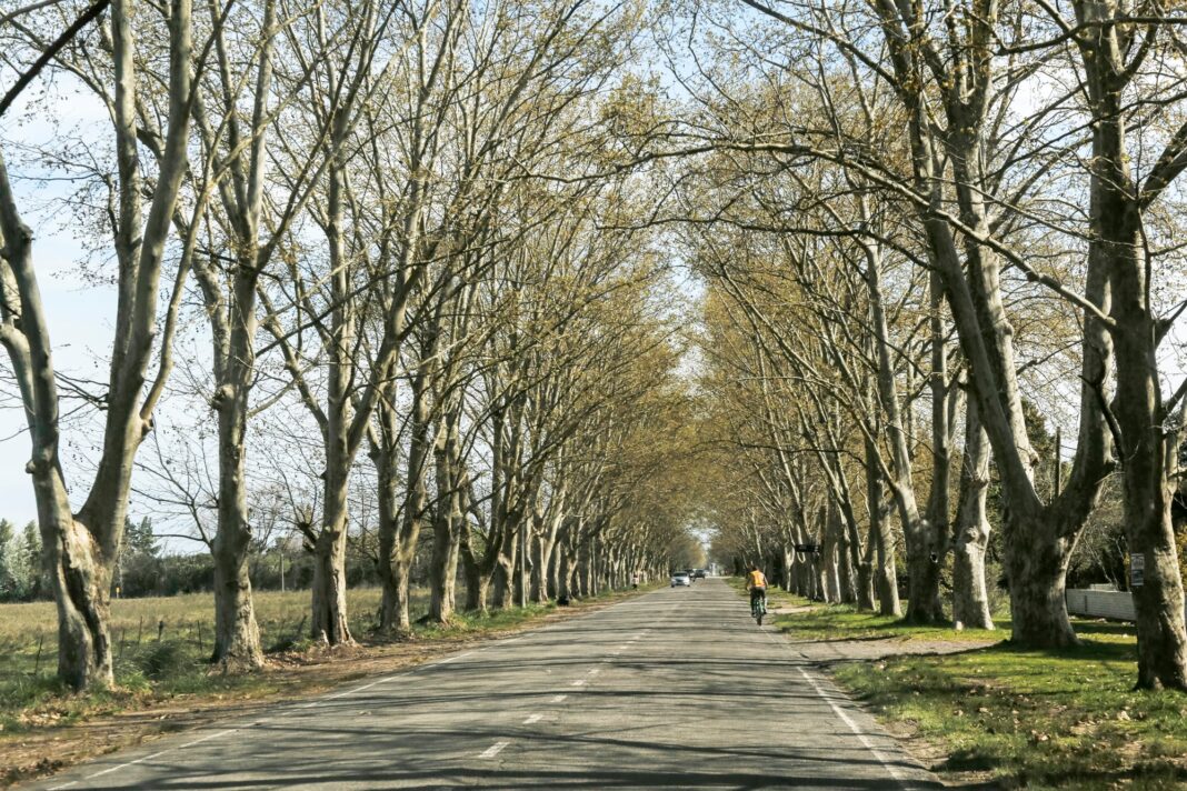Vista panorámica de la llanura y la ciudad de Saladillo, provincia de Buenos Aires