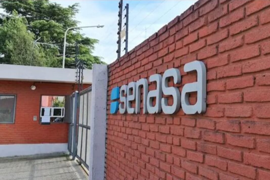 Ovejas en un campo, haciendo referencia a la sanidad ovina y las exportaciones