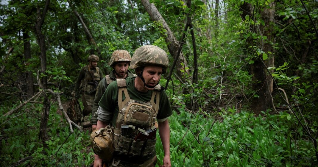 Vista aérea de líneas de árboles y campos en un paisaje rural, ilustrando la cobertura vegetal mencionada en el artículo.