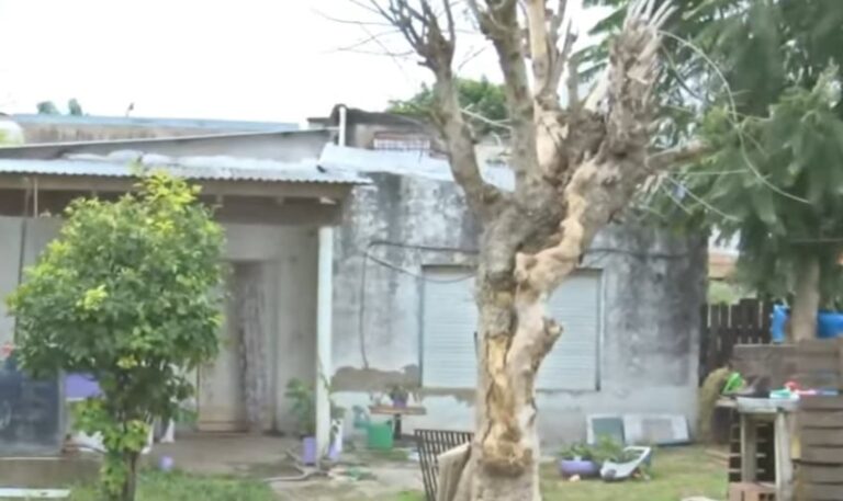 Escena del crimen en Los Polvorines donde una mujer fue asesinada al defender a su hija