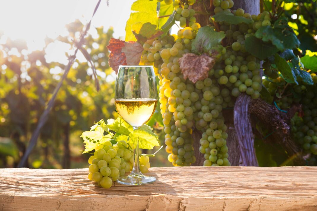Copa de vino Sauvignon Blanc argentino junto a una botella
