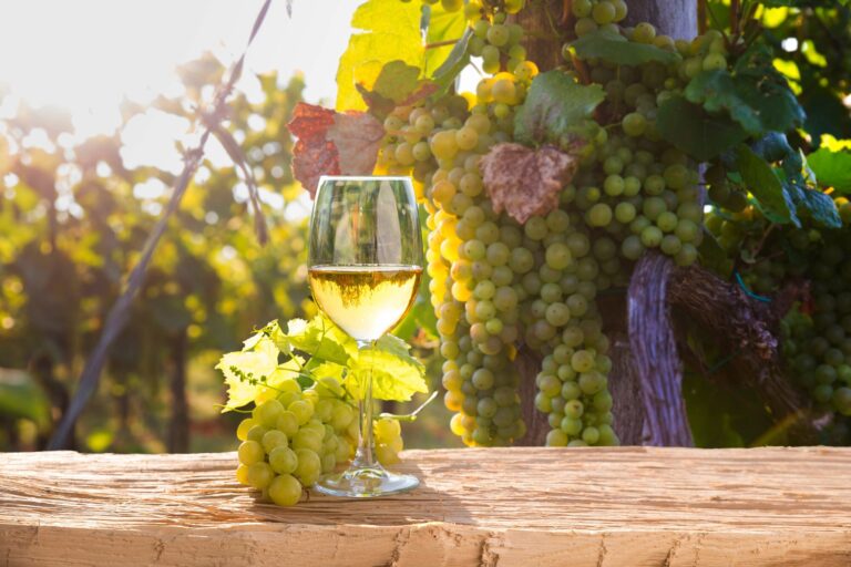 Copa de vino Sauvignon Blanc argentino junto a una botella