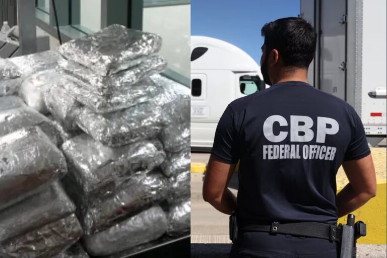 Perro detector de la CBP junto a un vehículo en un puerto de entrada de California