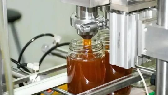 Colmena de abejas en campo argentino
