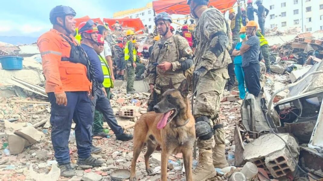 Bart, perro especializado en búsqueda y rescate, en la misión humanitaria argentina en Venezuela