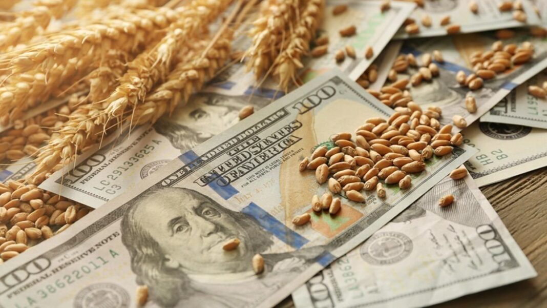 Gráfico de barras con montos de liquidación de divisas del agro en junio