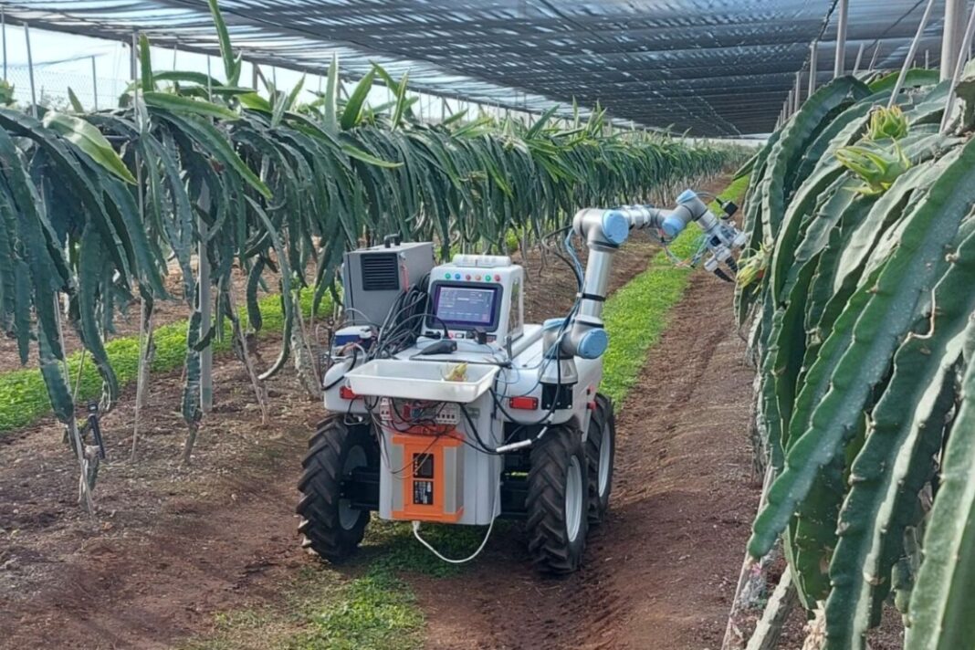 Robot Dragonbot recolectando fruta del dragón en un campo agrícola