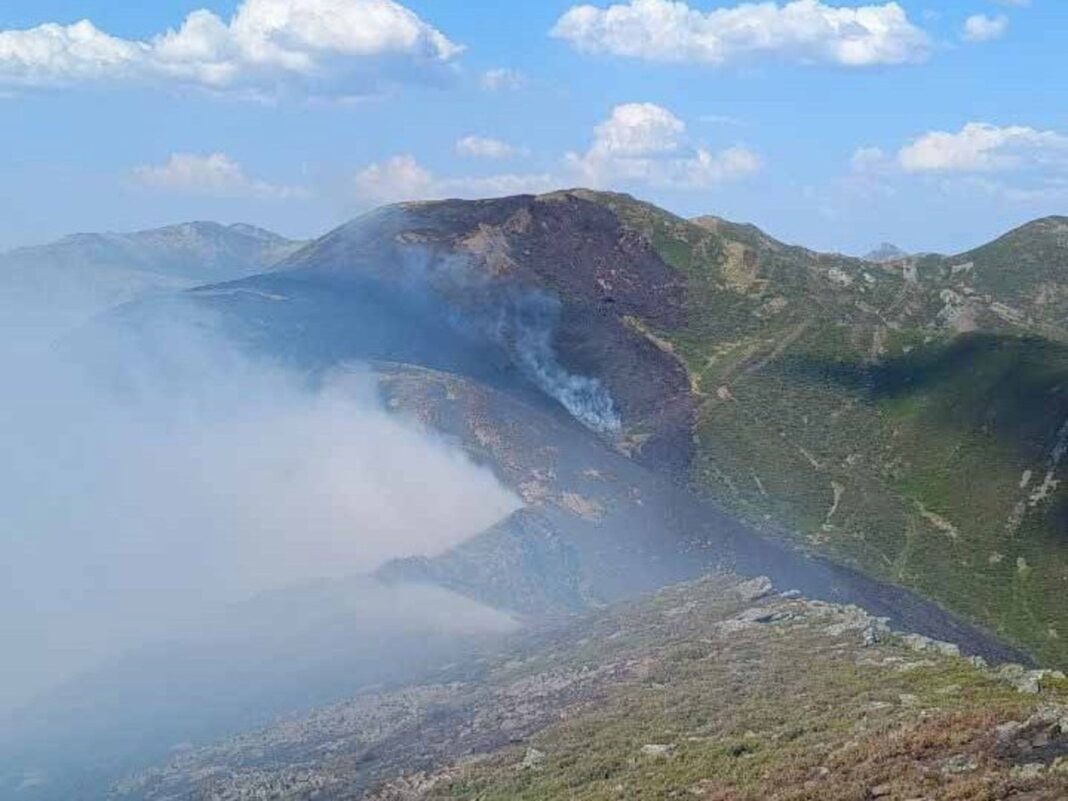 Imagen ilustrativa de un incendio forestal en un monte con vegetación quemada y bomberos trabajando