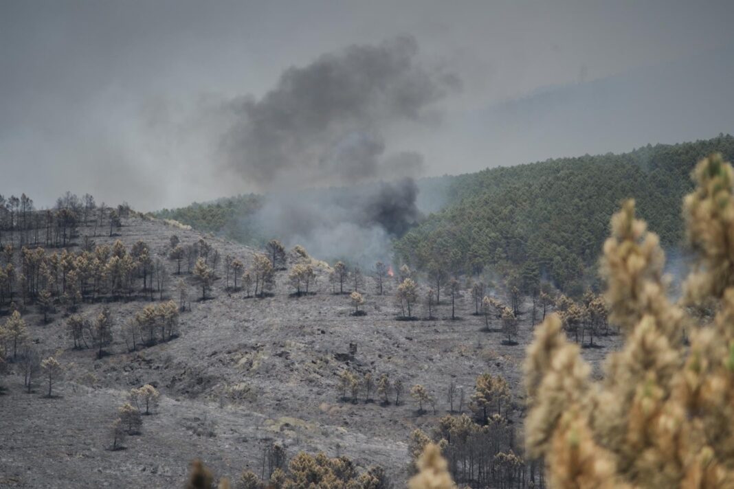 Vista aérea del incendio forestal en La Mierla, Guadalajara, con humo y llamas sobre terreno quemado
