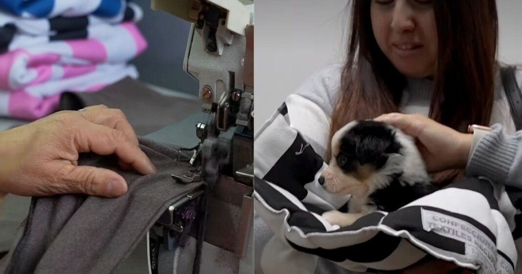 Mujeres confeccionando camas y mantas para mascotas en el Hospital de Animales de Lomas de Zamora