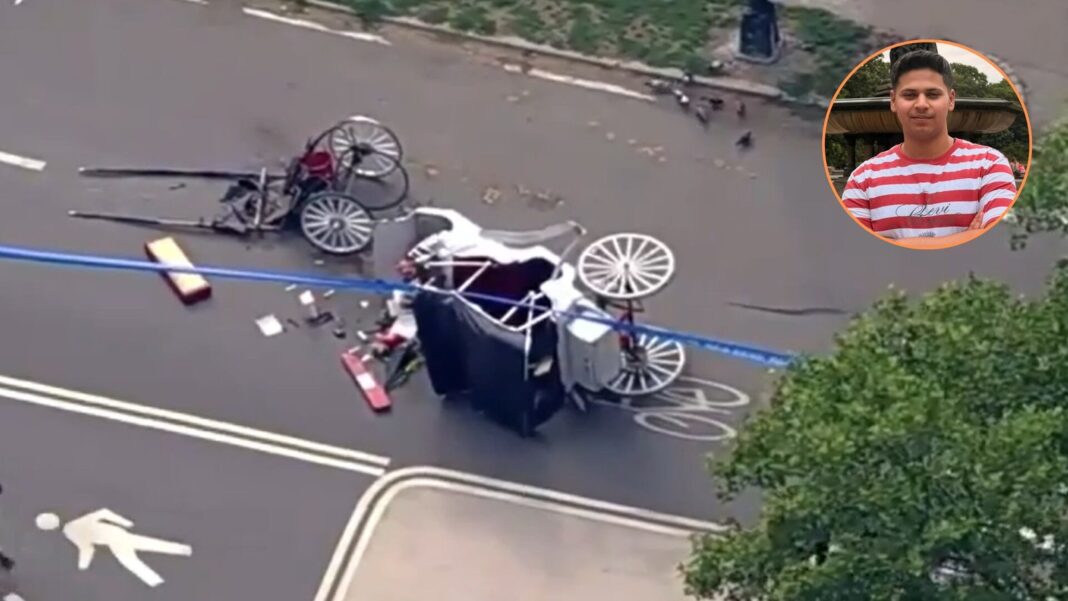 Carruaje de caballos en Central Park, Nueva York