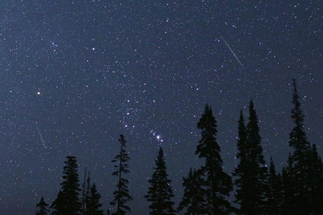 Lluvia de meteoros Perseidas en el cielo nocturno