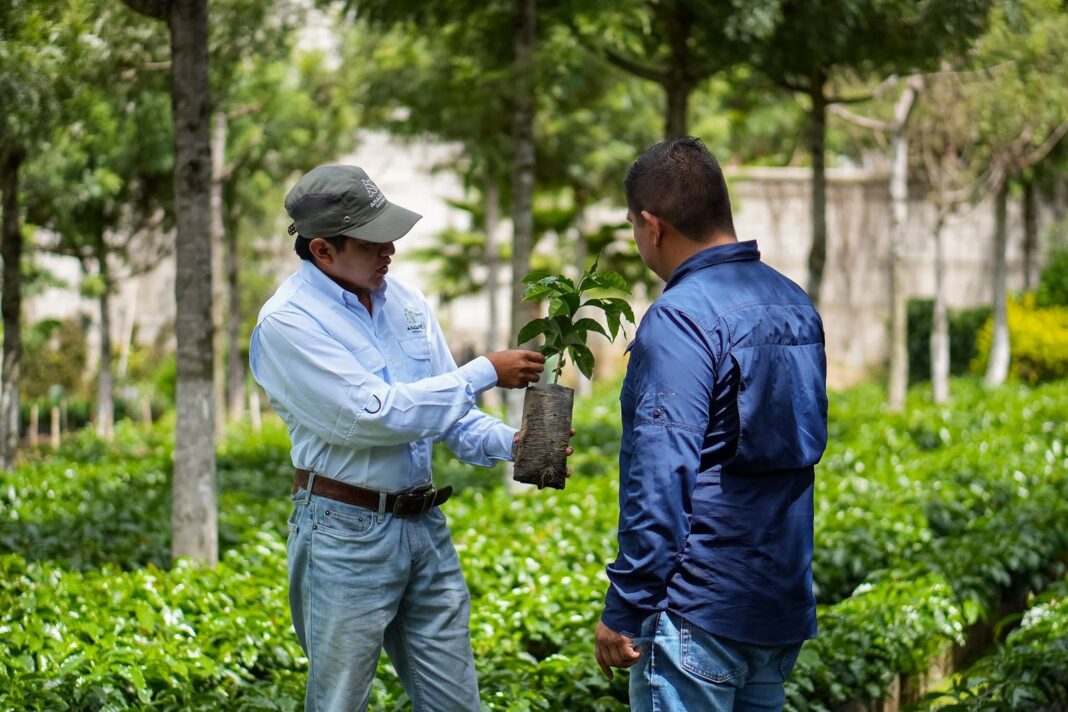 Congreso Nacional del Café en Guatemala