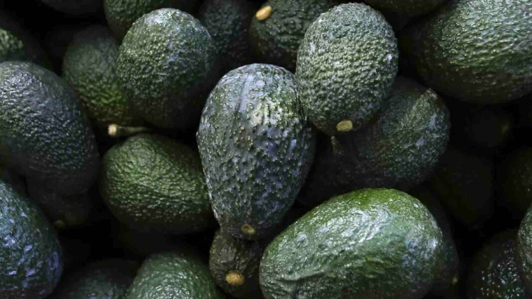 Aguacates de Michoacán en un mercado