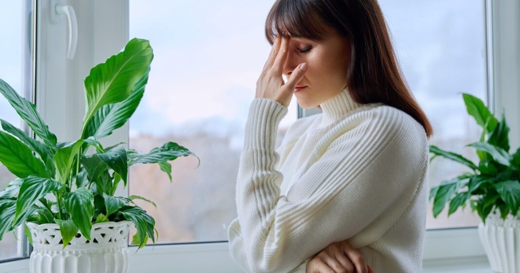 Mujer revisando su agenda