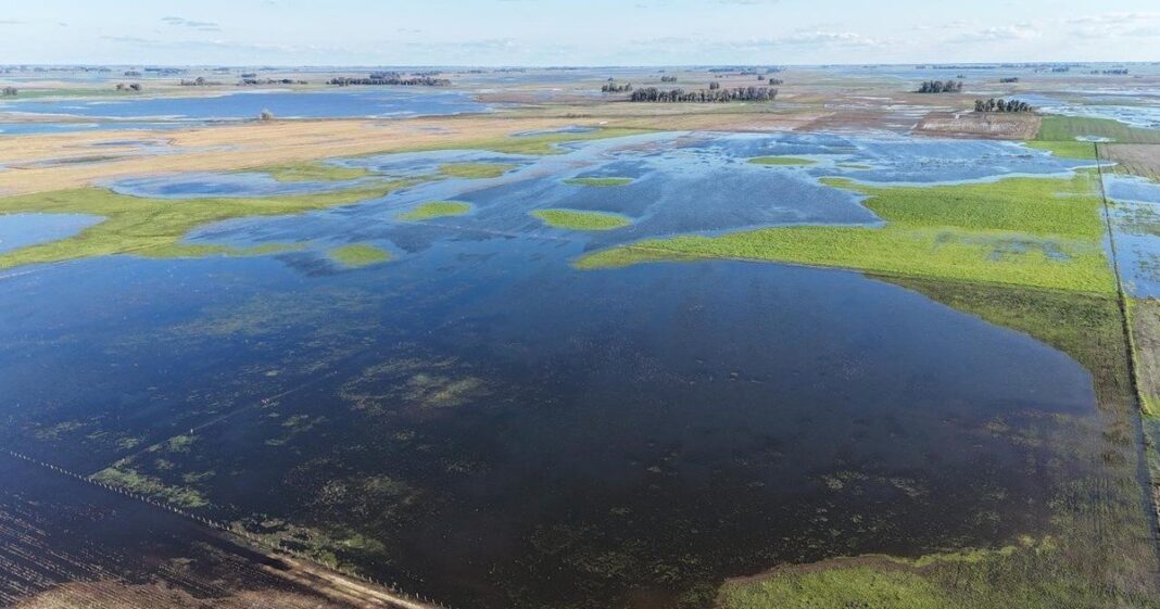 Campo agrícola en Argentina con cielo despejado